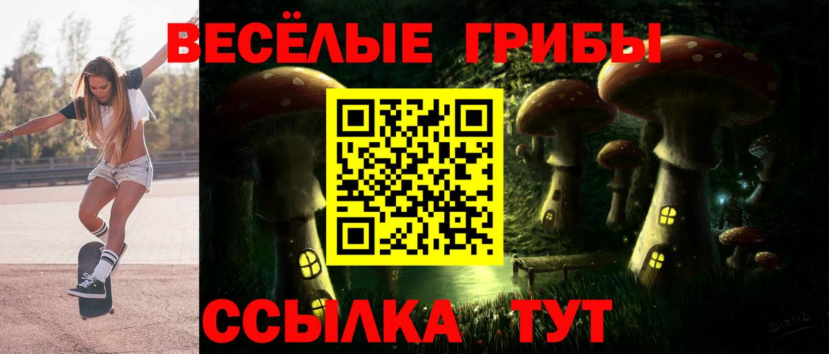 Череповец  Галлюциногенные грибы мицелий  Вход с VPN 