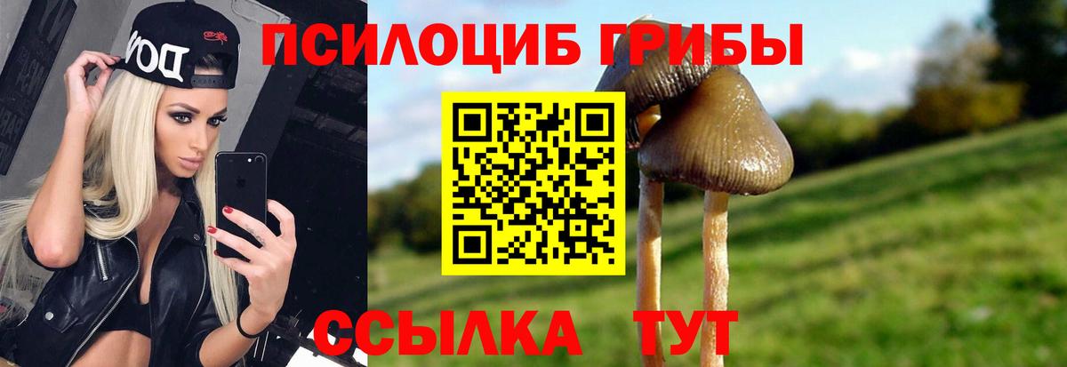 Псилоцибиновые грибы MAGIC MUSHROOMS Череповец
